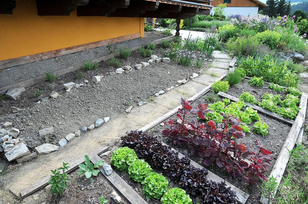 Sulamith Ferienhaus Mit Garten ซังคท์คาไทรน์ อัม ออฟเฟนเอก ห้อง รูปภาพ