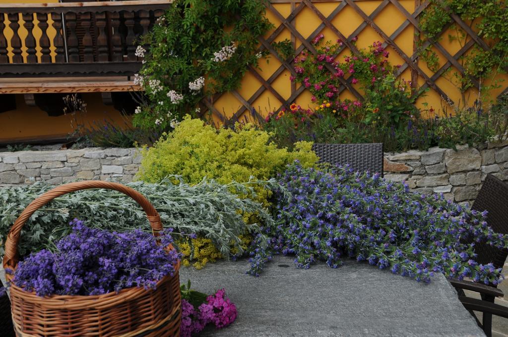 Sulamith Ferienhaus Mit Garten ซังคท์คาไทรน์ อัม ออฟเฟนเอก ภายนอก รูปภาพ