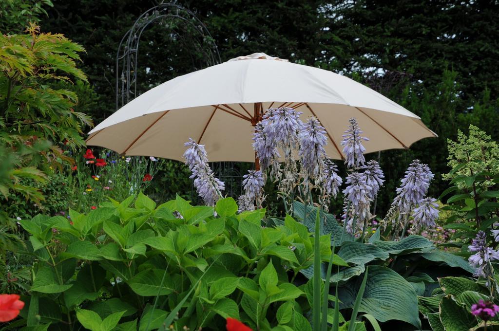 Sulamith Ferienhaus Mit Garten ซังคท์คาไทรน์ อัม ออฟเฟนเอก ภายนอก รูปภาพ
