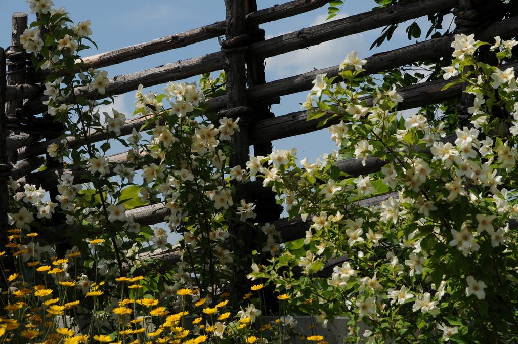 Sulamith Ferienhaus Mit Garten ซังคท์คาไทรน์ อัม ออฟเฟนเอก ภายนอก รูปภาพ
