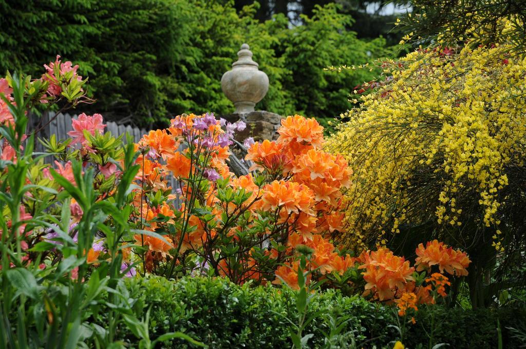 Sulamith Ferienhaus Mit Garten ซังคท์คาไทรน์ อัม ออฟเฟนเอก ภายนอก รูปภาพ