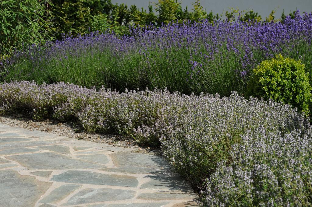 Sulamith Ferienhaus Mit Garten ซังคท์คาไทรน์ อัม ออฟเฟนเอก ภายนอก รูปภาพ