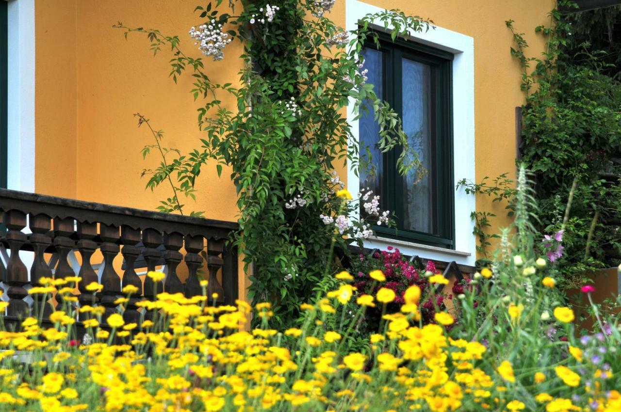 Sulamith Ferienhaus Mit Garten ซังคท์คาไทรน์ อัม ออฟเฟนเอก ภายนอก รูปภาพ